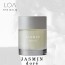 LOA THE BALM　JASMIN dore(ジャスミン ドレ)　40g