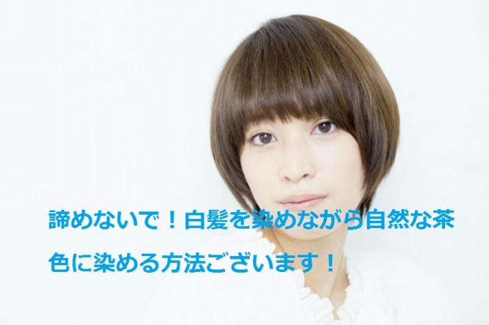 白髪でも茶色に染められますか ブログ 銀座美容室カロン銀座 Calon ヘアカラーサロン