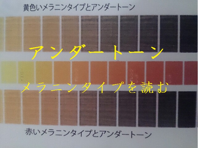 黒髪の種類とメラニンの色を診断してカラーします ブログ 銀座美容室カロン銀座 Calon ヘアカラーサロン