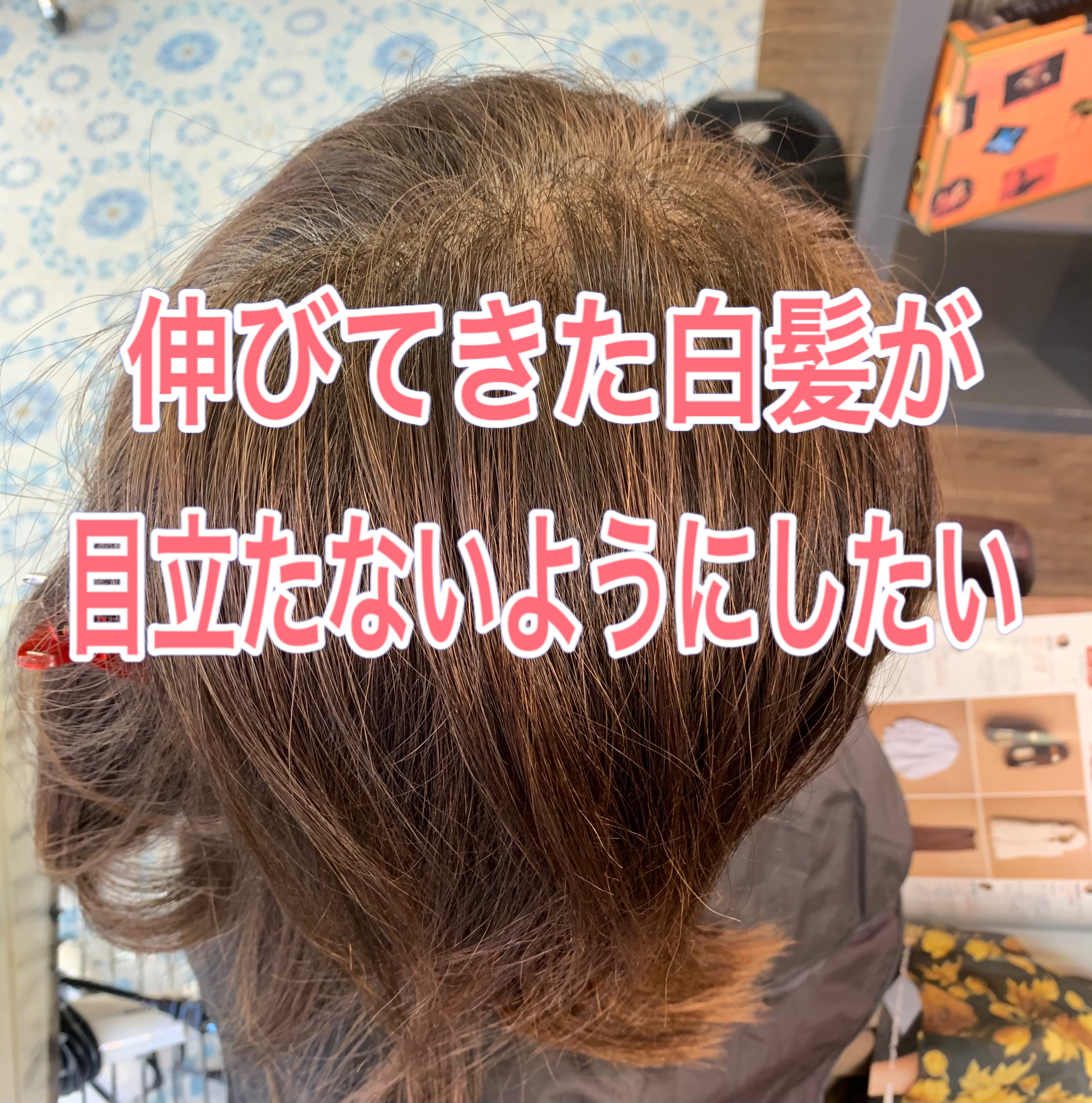 伸びてきた白髪が目立たないようにしたい ブログ 銀座美容室カロン銀座 Calon ヘアカラーサロン