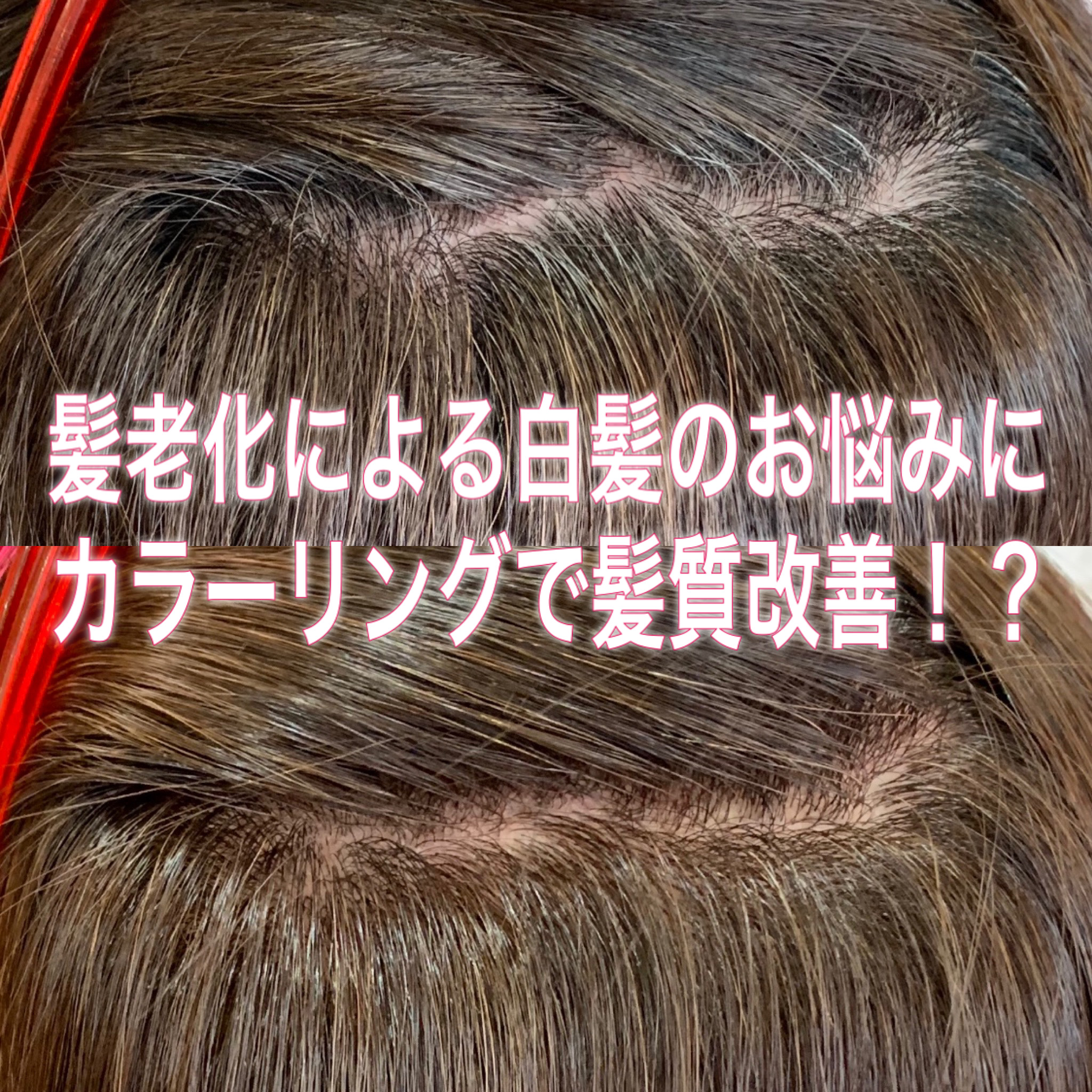 髪老化による白髪のお悩み カラーリングで髪質改善 ブログ 銀座美容室カロン銀座 Calon ヘアカラーサロン