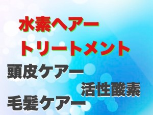 頭皮ケアー・毛髪ケアー